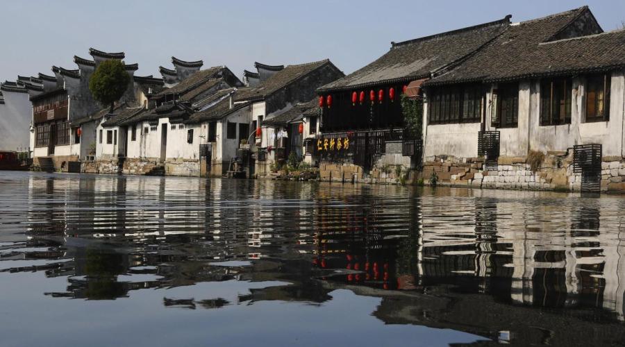 仙人球浇水过多，从根部开始烂了怎么办？还能活么